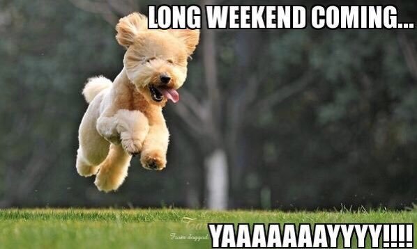 dog jumping in air with white words that read Long weekend coming Yaaaayy!